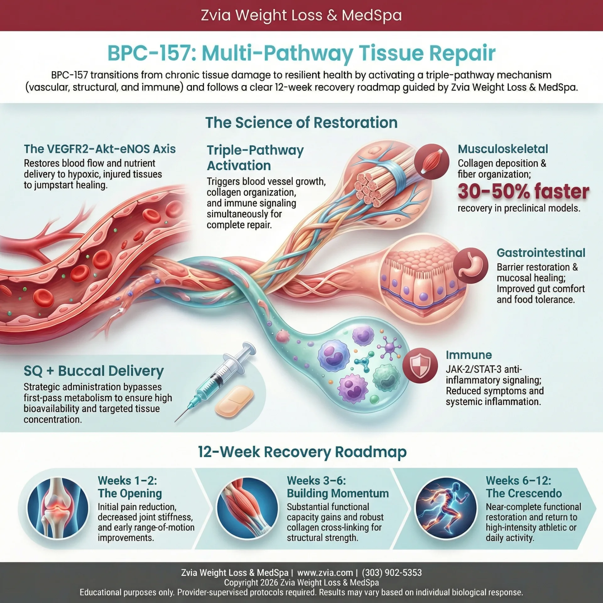 BPC-157: How It Works, What to Expect, and Why Oversight Matters | Zvia ...