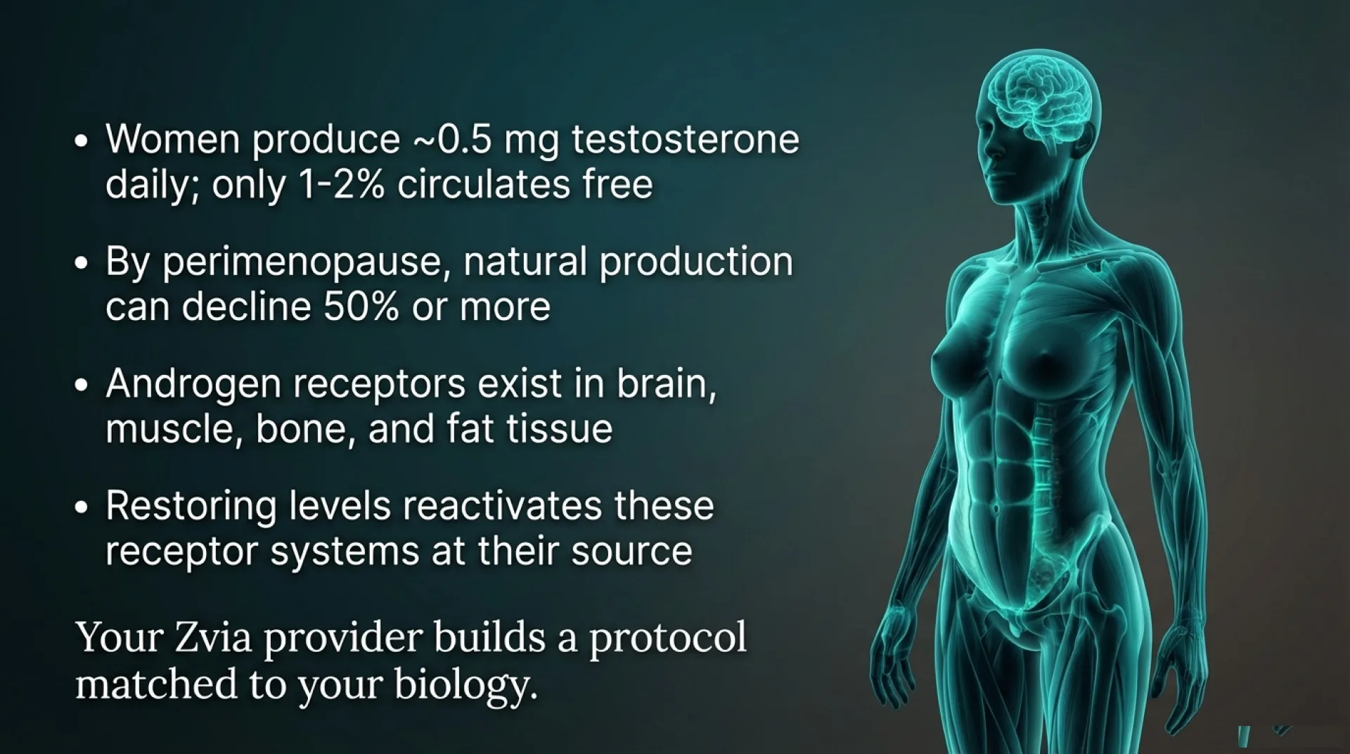 Testosterone Protocol Guide — slide 3 of 13