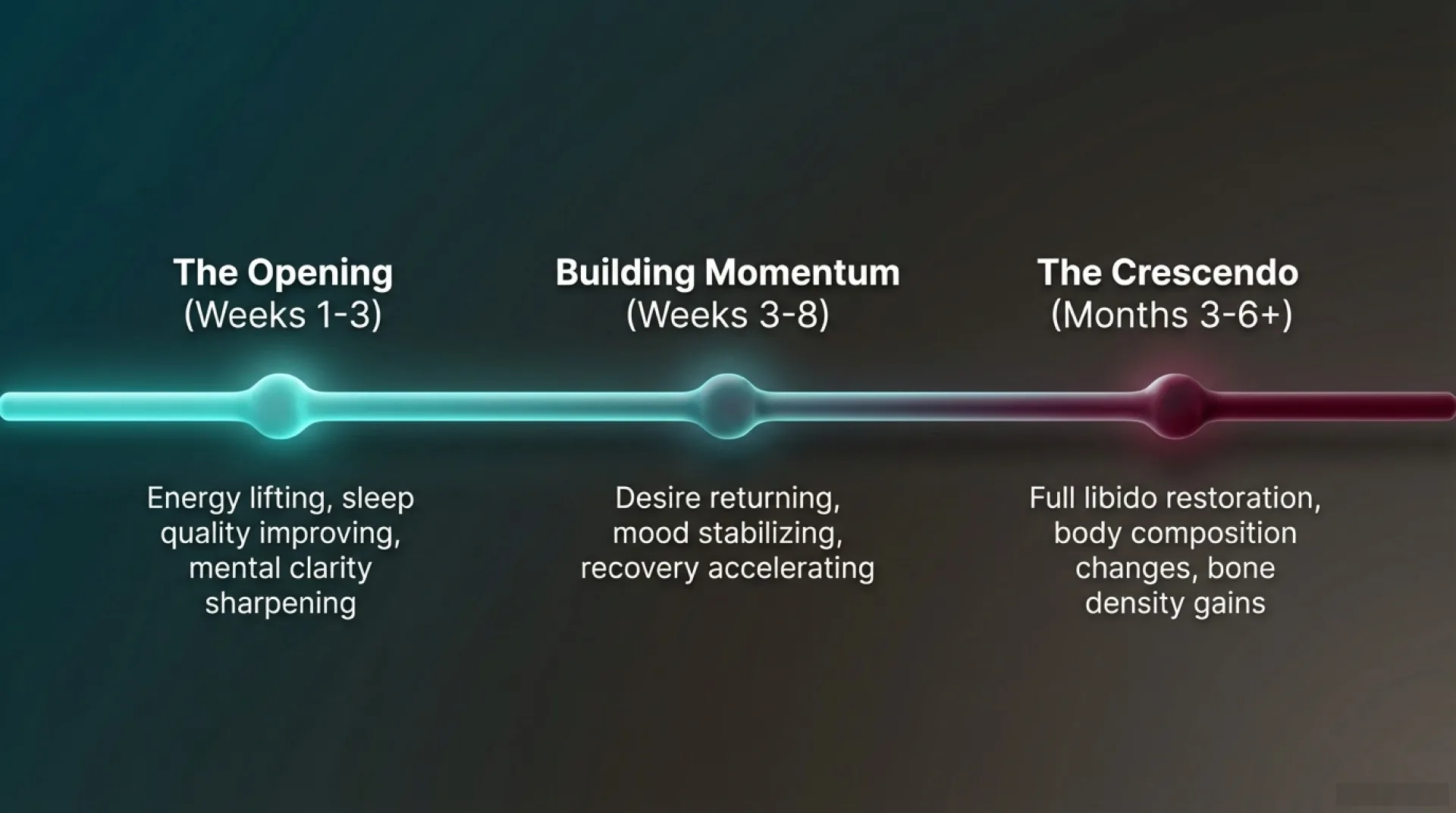 Testosterone Protocol Guide — slide 7 of 13