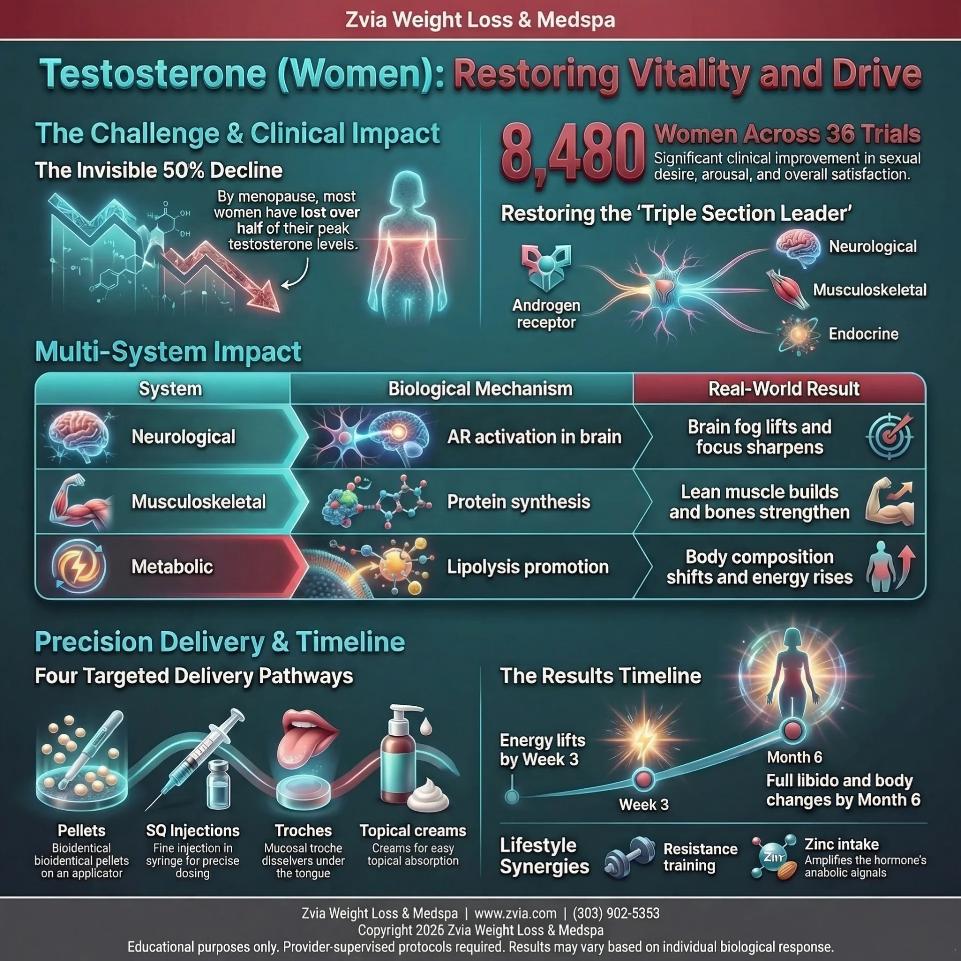 Testosterone for Women: How It Works, What to Expect, and Why Precision ...