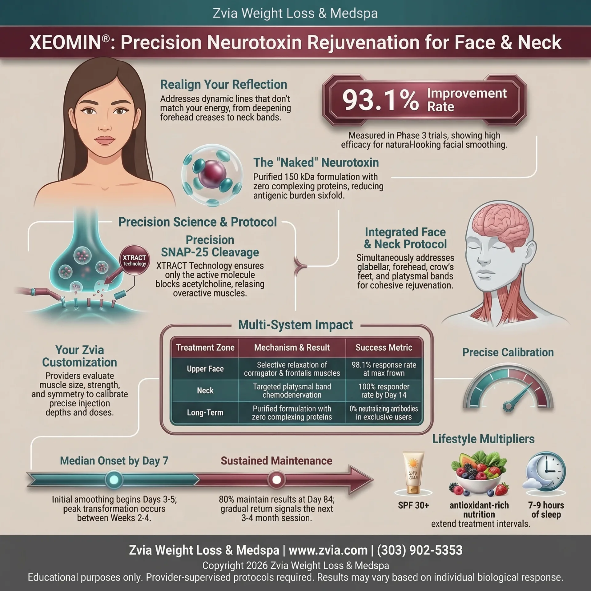 Xeomin Graphics XEOMIN®: The Purified Neurotoxin | Zvia Weight Loss & MedSpa